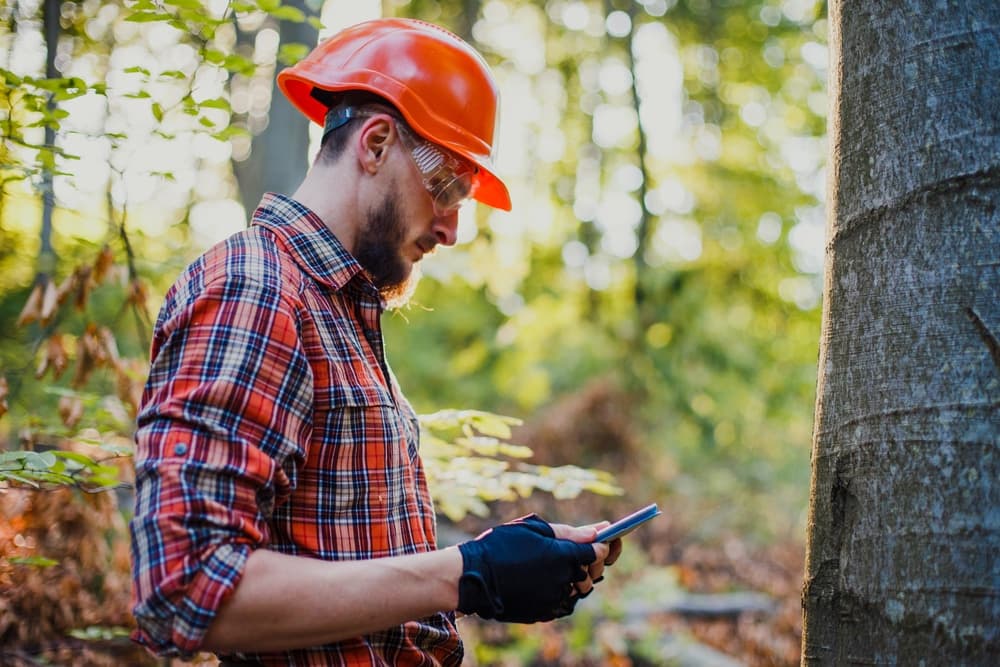 Tree Health Plans