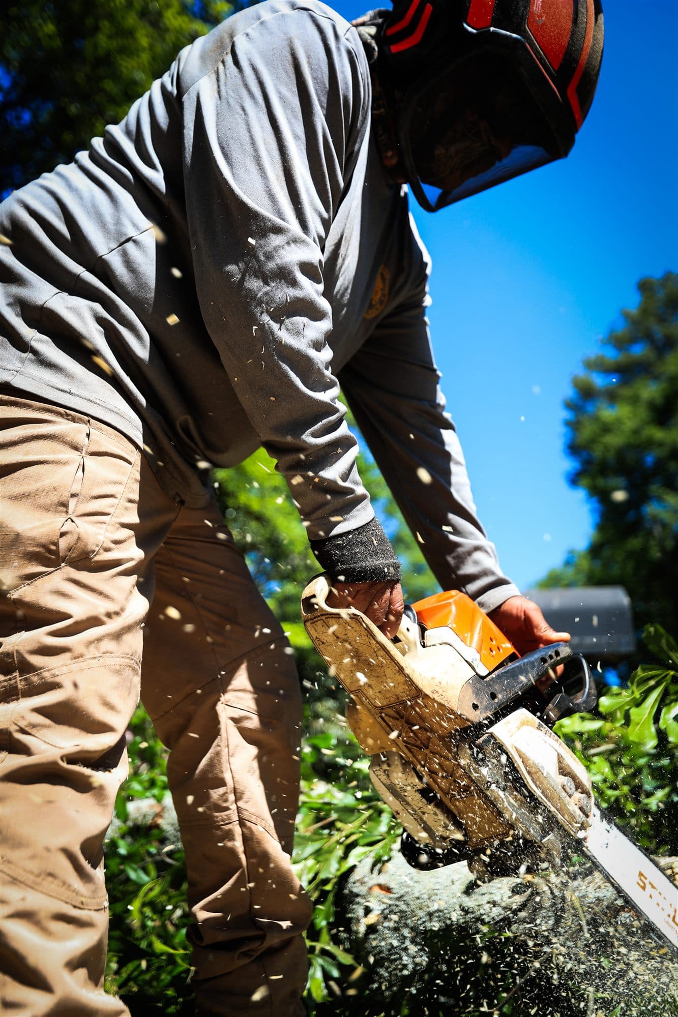 Precision chainsaw work