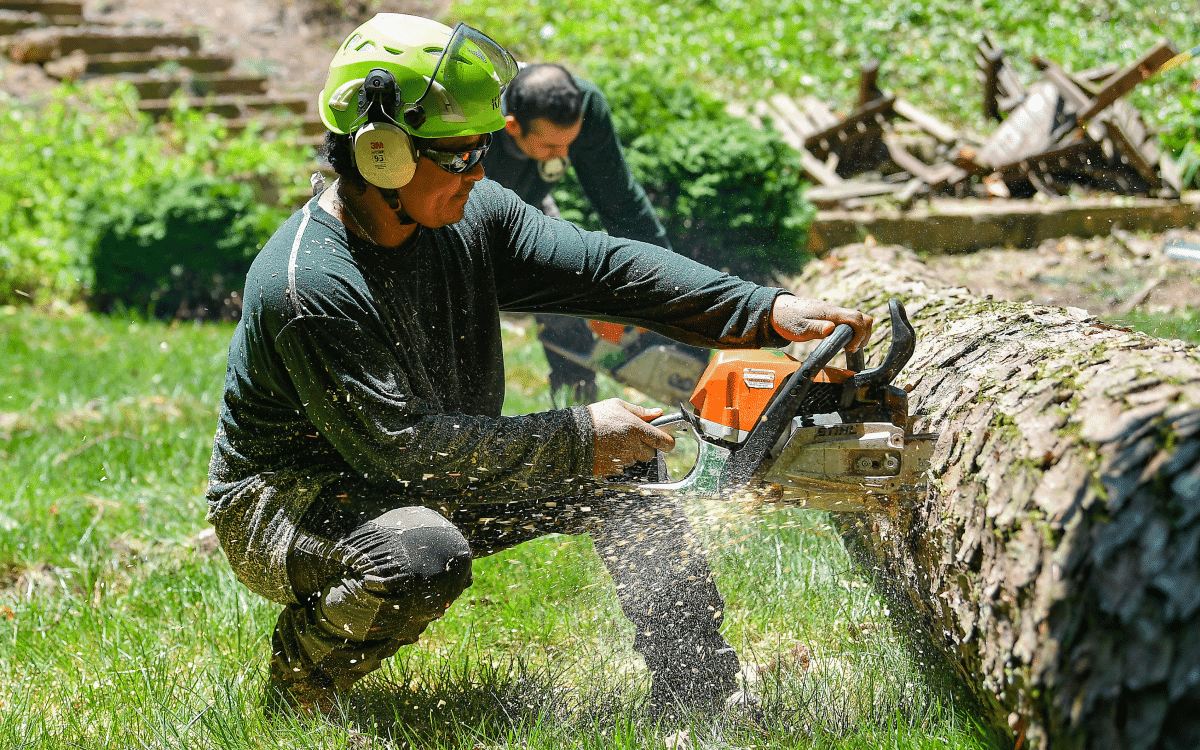 Precision chainsaw work