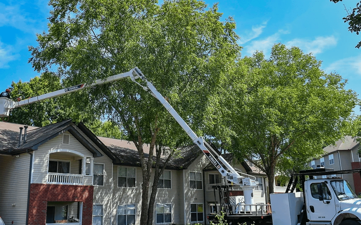 Commercial & HOA
