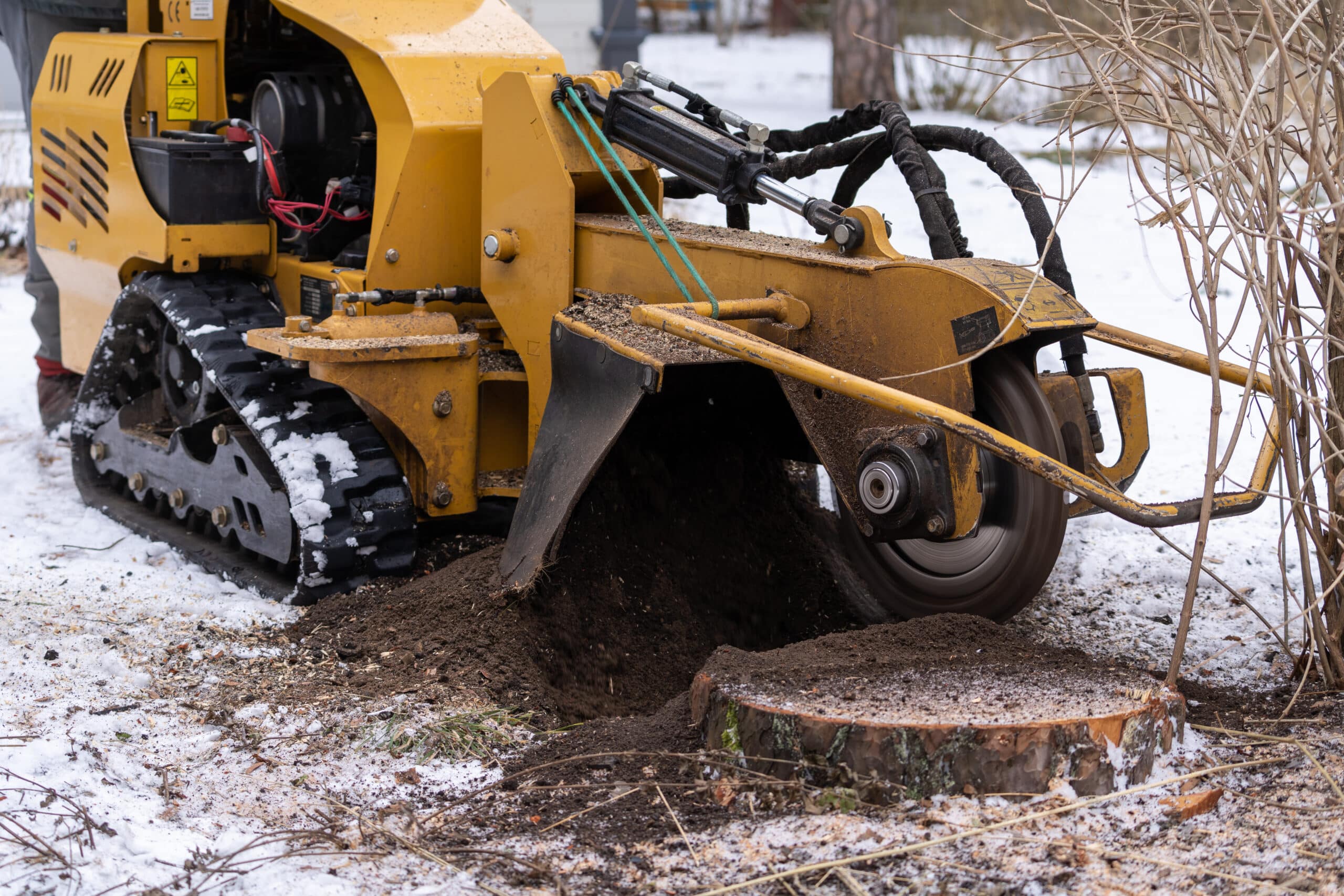 Tracked stump grinding machine on residential property