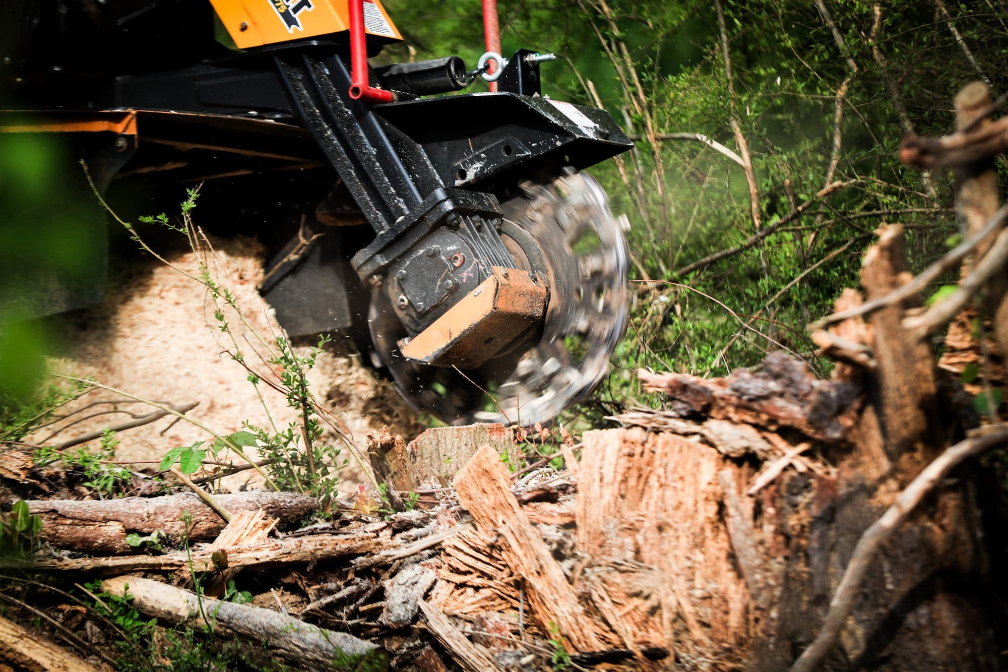 Stump Grinding